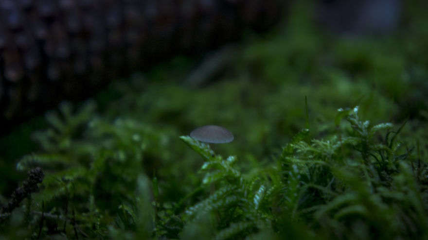 Lovely Photos Of Fall