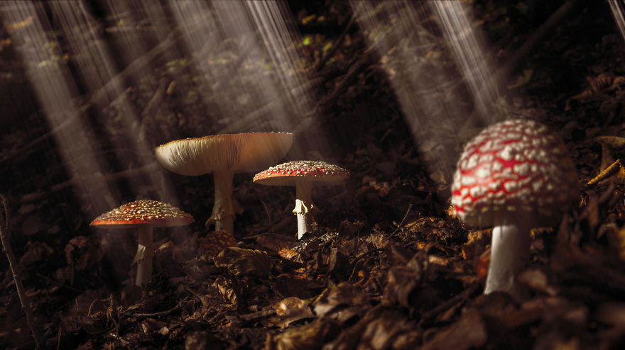 Lovely Photos Of Fall