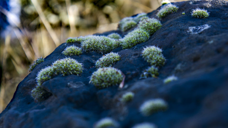 Lovely Photos Of Fall