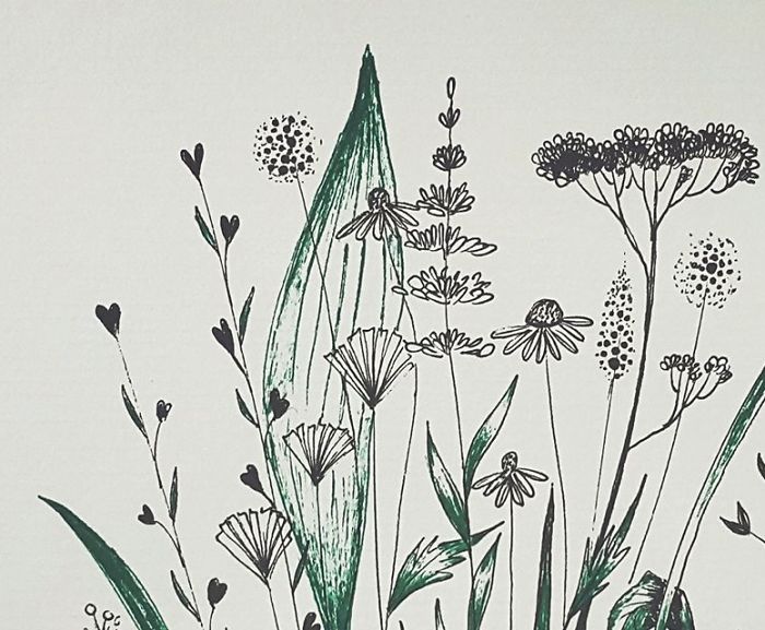 How Many Plants That You Can See? Names?