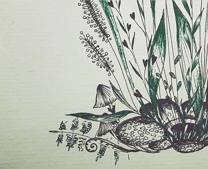 How Many Plants That You Can See? Names?