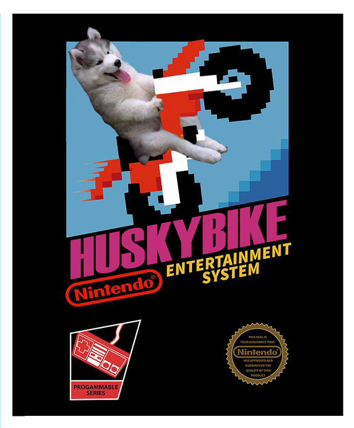 Huskybike