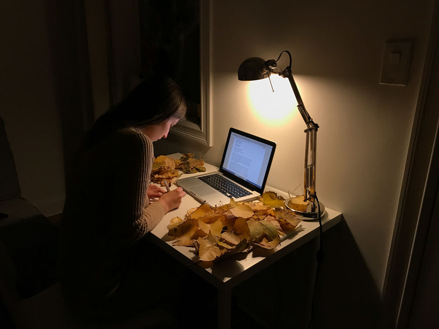 I Left 86 Leaves With Handwritten Poetry In NYC Parks For People To Find I Left 86 Leaves With Handwritten Poetry In NYC Parks For People To Find