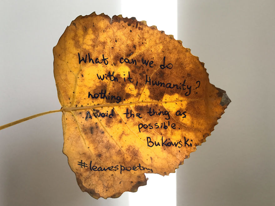 I Left 86 Leaves With Handwritten Poetry In NYC Parks For People To Find I Left 86 Leaves With Handwritten Poetry In NYC Parks For People To Find