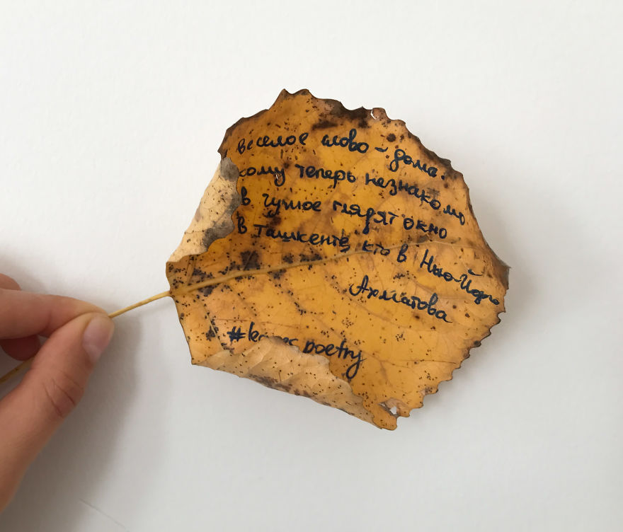 I Left 86 Leaves With Handwritten Poetry In NYC Parks For People To Find