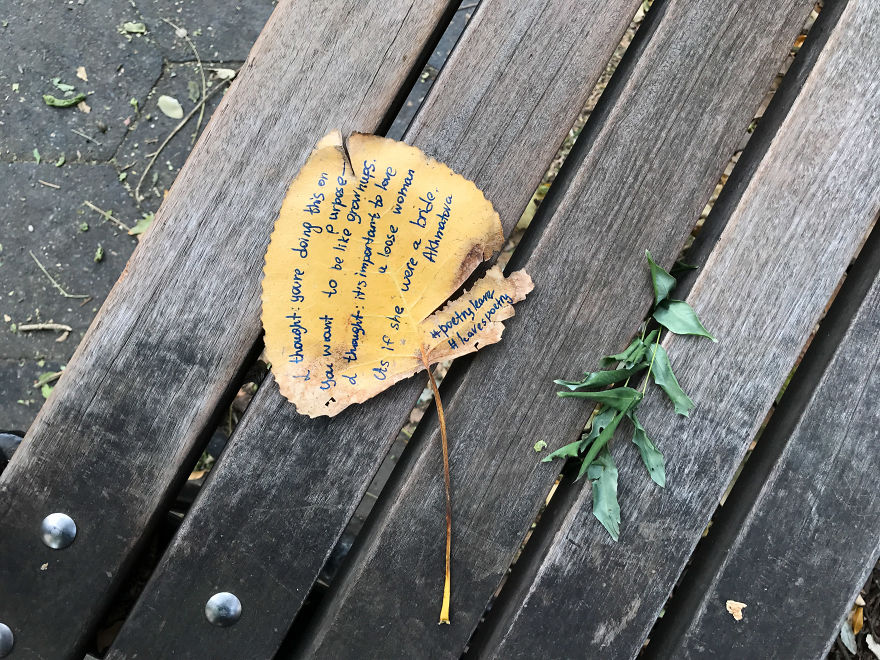 I Left 86 Leaves With Handwritten Poetry In NYC Parks For People To Find I Left 86 Leaves With Handwritten Poetry In NYC Parks For People To Find