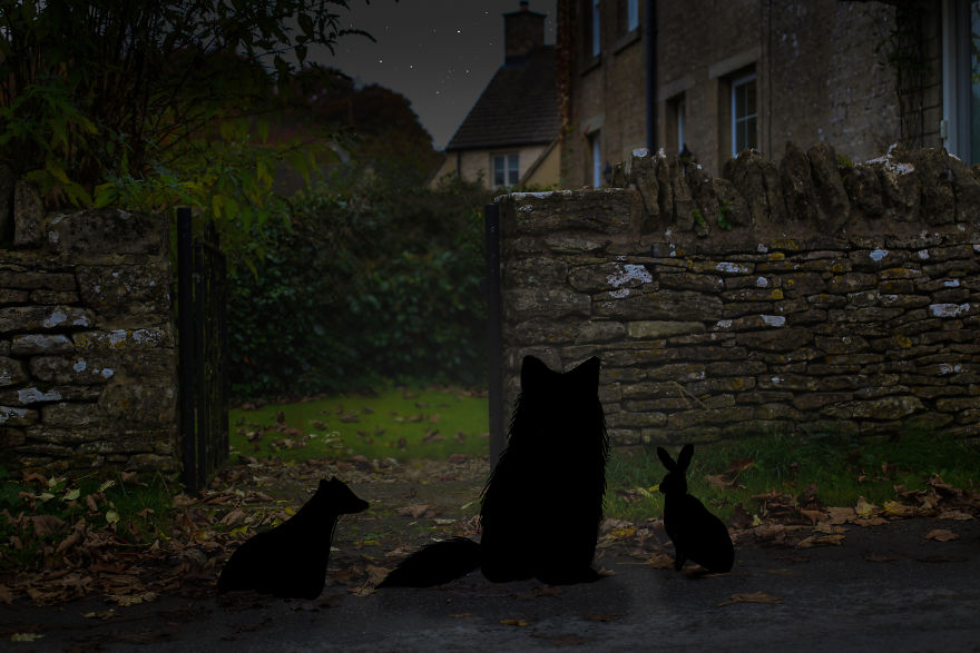 I Created Images Which Combine My Love For Illustration And Photography