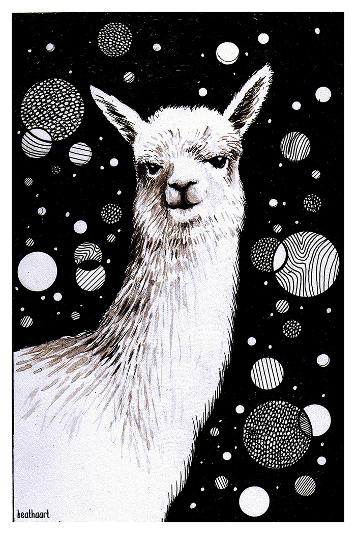 I Drew Llama For The First Time And She Is Just Adorable.