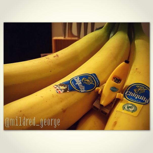 I Photograph This Older Lego Couple In Their Daily Life To Show Their Active And Heartwarming Adventures I Photograph This Older Lego Couple In Their Daily Life To Show Their Active And Heartwarming Adventures