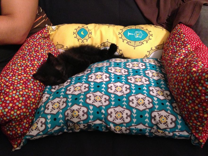 I Started My Fashion Line Because My Cat Had F.i.p. I Started My Fashion Line Because My Cat Had F.i.p.