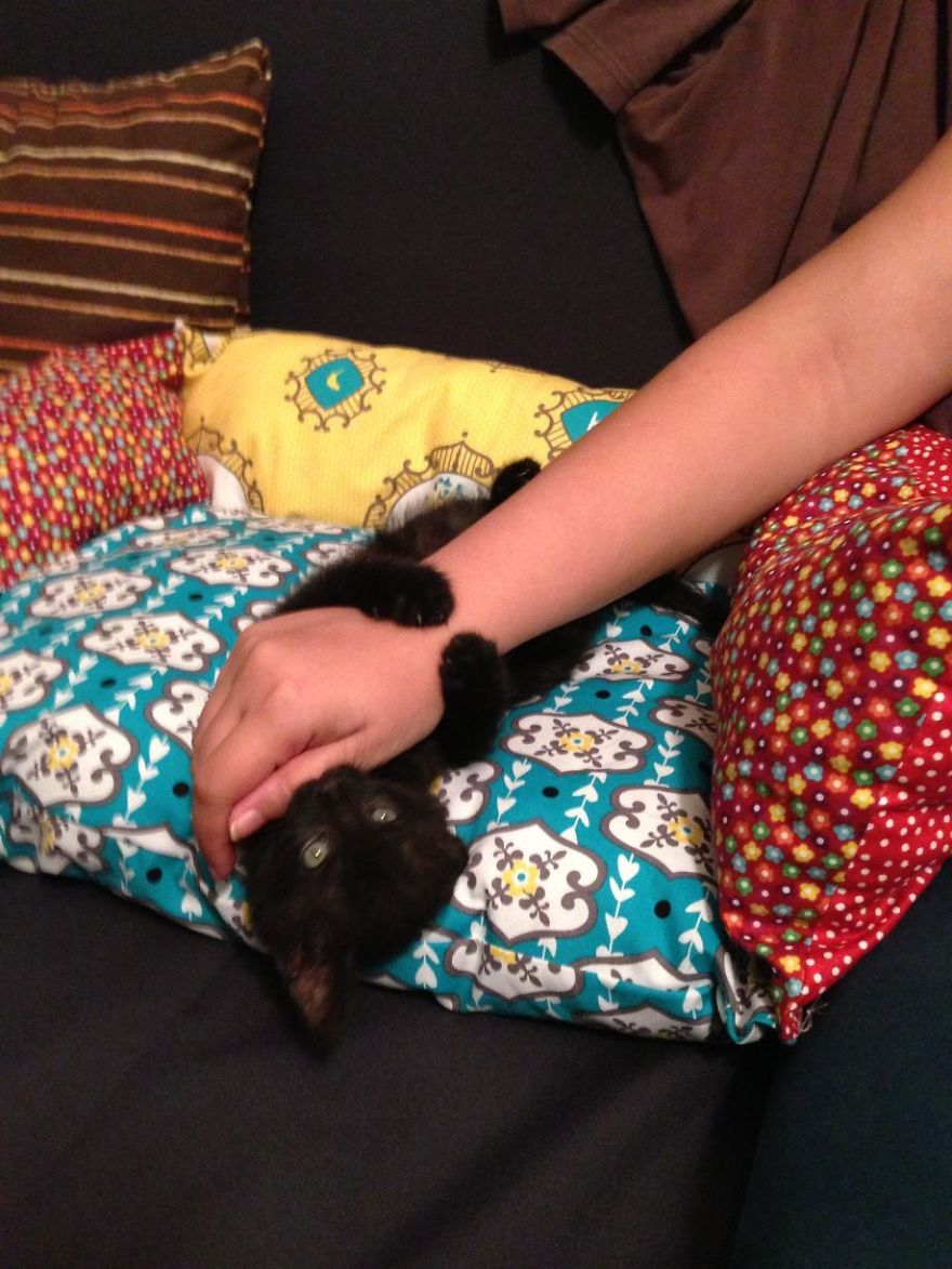 I Started My Fashion Line Because My Cat Had F.i.p. I Started My Fashion Line Because My Cat Had F.i.p.