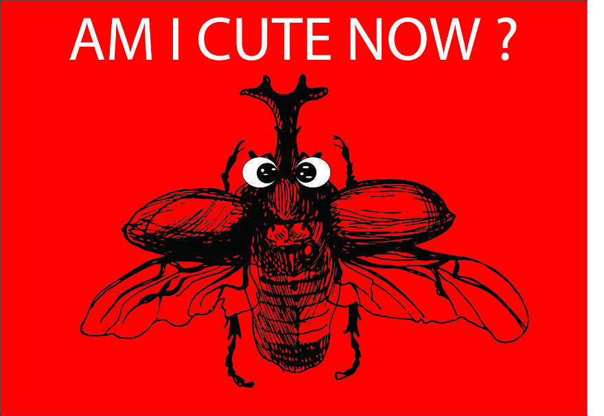 I Want To Be The Voice Of Animals Through My Illustrations And Give A Message In Their Name!