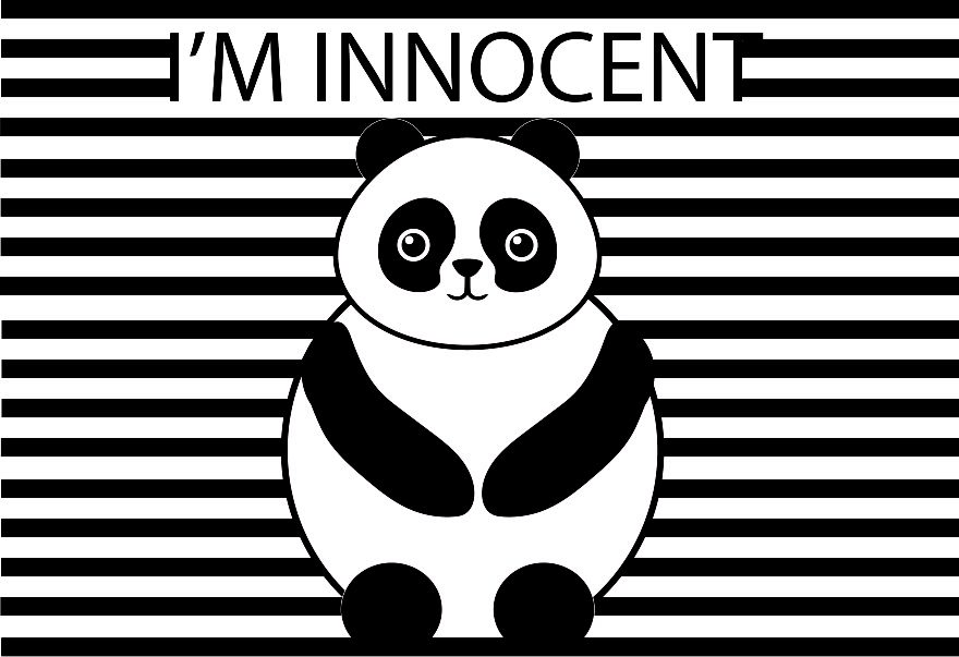 I Want To Be The Voice Of Animals Through My Illustrations And Give A Message In Their Name!