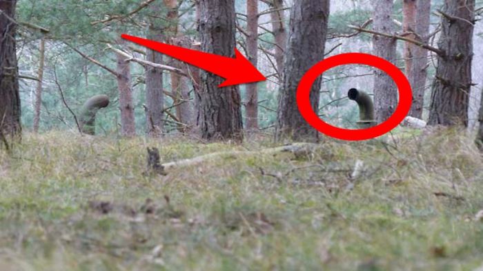 These Friend’s Discovered This In The Woods And Below It Is A Horrifying Secret Omg