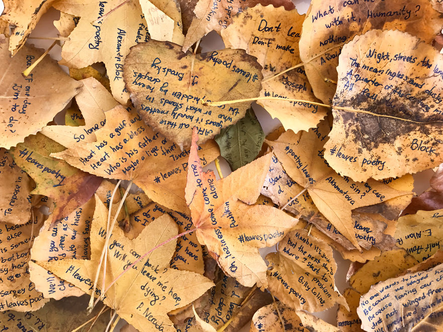 I Left 86 Leaves With Handwritten Poetry In NYC Parks For People To Find I Left 86 Leaves With Handwritten Poetry In NYC Parks For People To Find