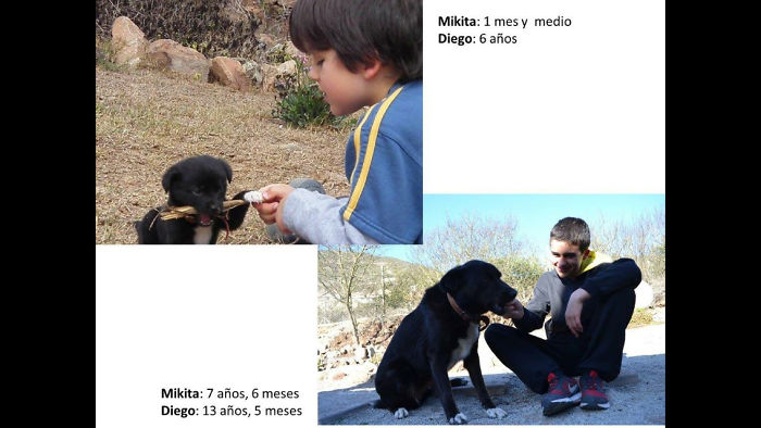 Training Her For Not To Chew The Laundry