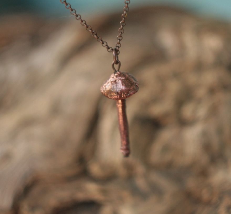 Unique Jewelry Made From Natural Objects Using Electroplating Method Unique Jewelry Made From Natural Objects Using Electroplating Method