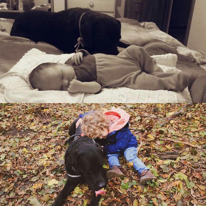 Loving Her Protective Older Doggy Brother, 2 Years Later, Even More!