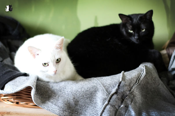 Fb.com/maniekimarcelka :)