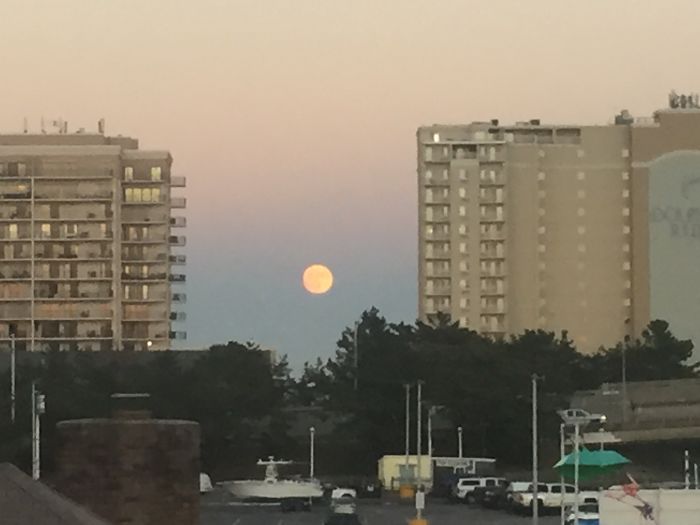 Not Any Bigger Than I've Seen Before.