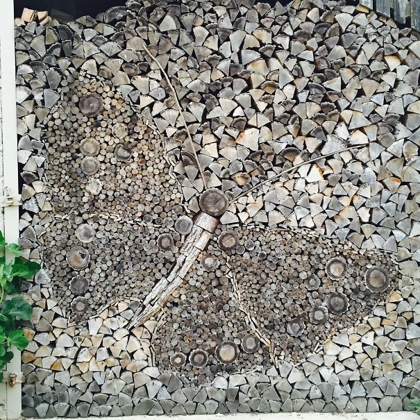 Purple Emperor Butterfly At Knepp Estate