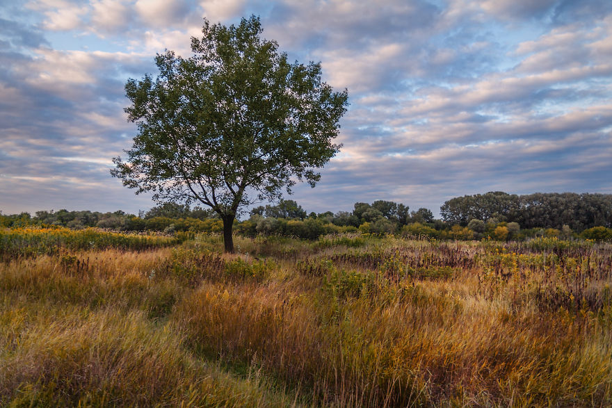 I Spent A Year Photographing Trees Around Warsaw I Spent A Year Photographing Trees Around Warsaw