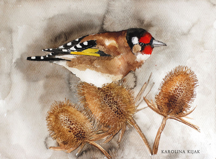 Goldfinch