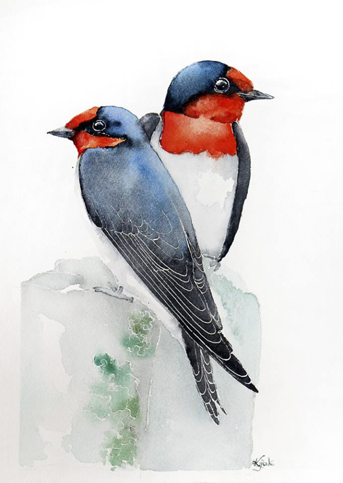 Swallows
