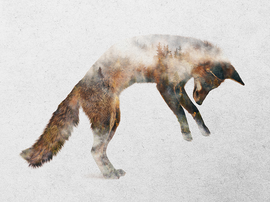 I Combine Animals And Landscapes In My Double Exposure Artwork