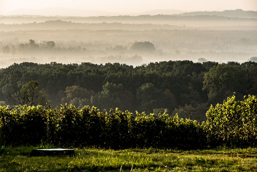 I Photographed The Beauty Of Cracow During The Golden Hours I Photographed The Beauty Of Cracow During The Golden Hours