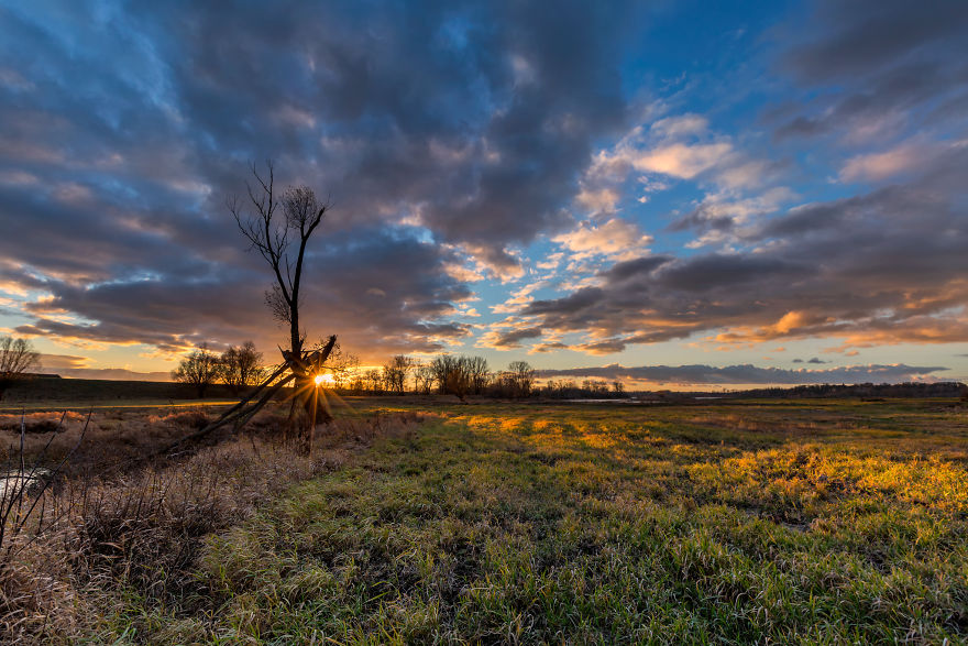 I Spent A Year Photographing Trees Around Warsaw I Spent A Year Photographing Trees Around Warsaw