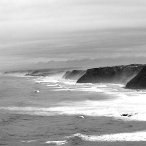 goebel_janine avatar