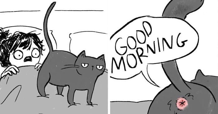 Artist Illustrates What It’s Like To Live With Cats (35 Pics)