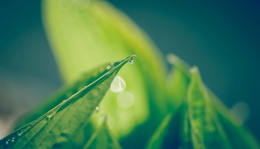 I Take Close-Up Photos Of Nature