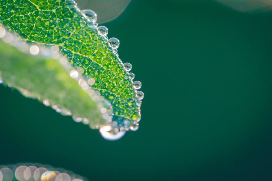 I Take Close-Up Photos Of Nature