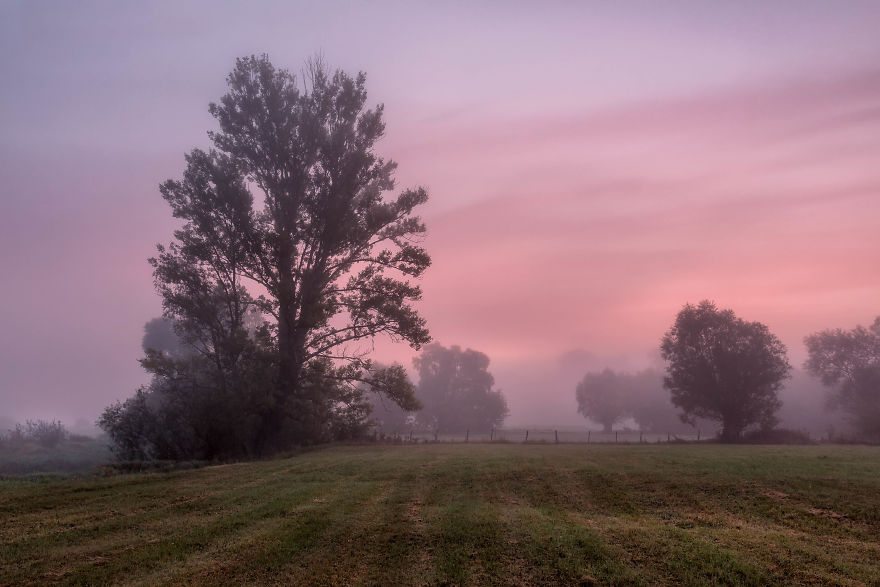 I Spent A Year Photographing Trees Around Warsaw I Spent A Year Photographing Trees Around Warsaw