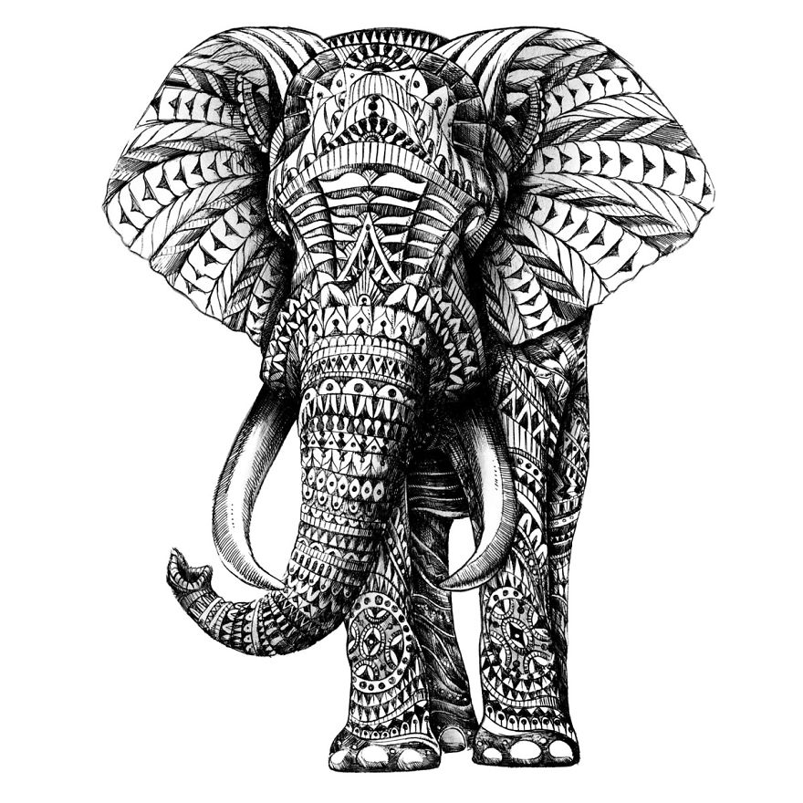 Ornate Elephant