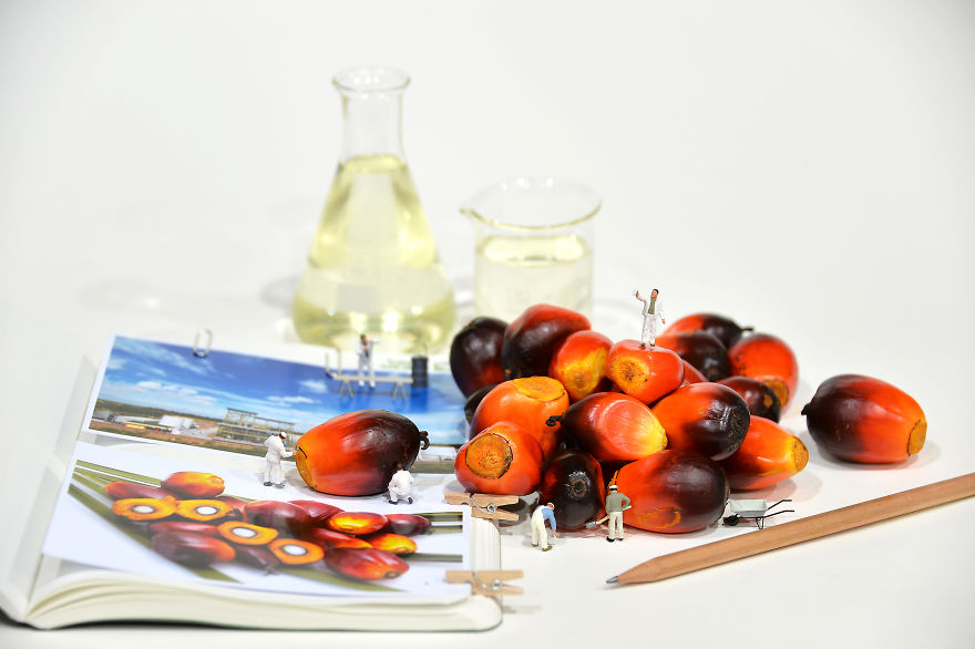 30 Days 30 Images: His Majesty King Bhumibol Adulyadej Is In All Thais’ Hearts Forever 30 Days 30 Images: His Majesty King Bhumibol Adulyadej Is In All Thais’ Hearts Forever