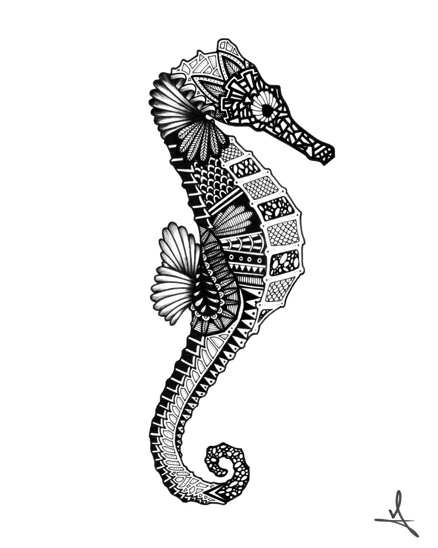 I Spend My Free Time Drawing Animals And Skulls