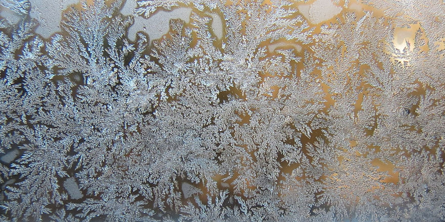 Before Scraping The Frost Off My Car On These Chilly Mornings, I Like To Stop And Appreciate Jack Frost's Delicate Artistry Before Scraping The Frost Off My Car On These Chilly Mornings, I Like To Stop And Appreciate Jack Frost's Delicate Artistry