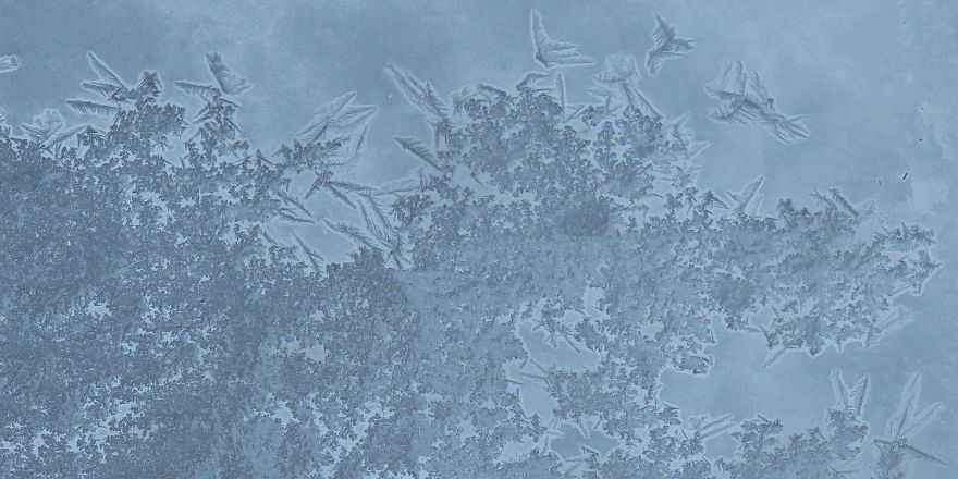 Before Scraping The Frost Off My Car On These Chilly Mornings, I Like To Stop And Appreciate Jack Frost's Delicate Artistry Before Scraping The Frost Off My Car On These Chilly Mornings, I Like To Stop And Appreciate Jack Frost's Delicate Artistry