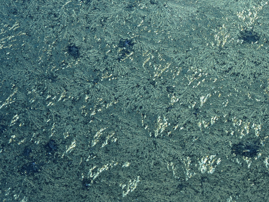 Before Scraping The Frost Off My Car On These Chilly Mornings, I Like To Stop And Appreciate Jack Frost's Delicate Artistry