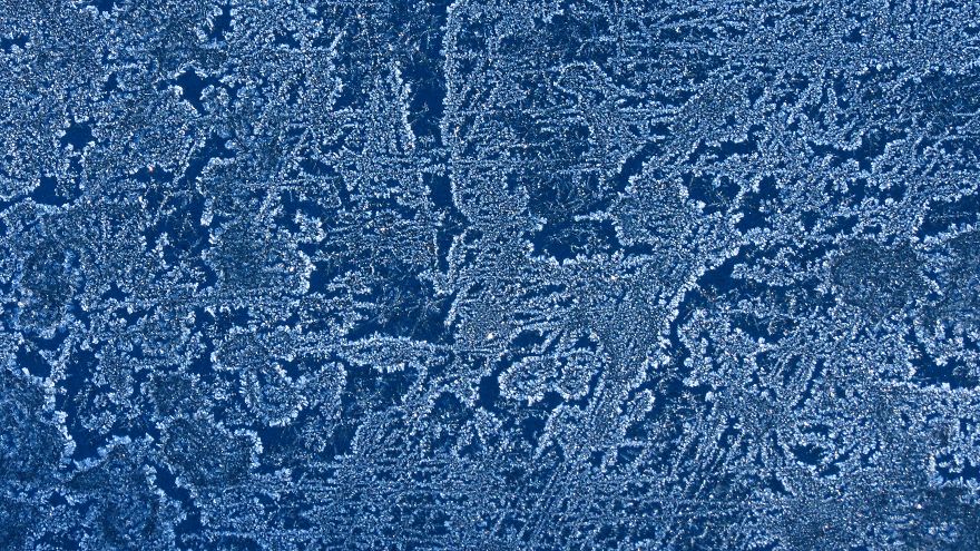 Before Scraping The Frost Off My Car On These Chilly Mornings, I Like To Stop And Appreciate Jack Frost's Delicate Artistry