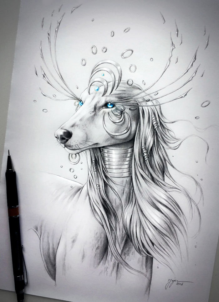 Saluki