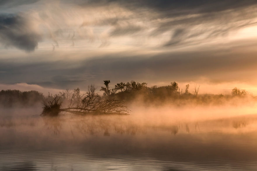 I Spent A Year Photographing Trees Around Warsaw I Spent A Year Photographing Trees Around Warsaw