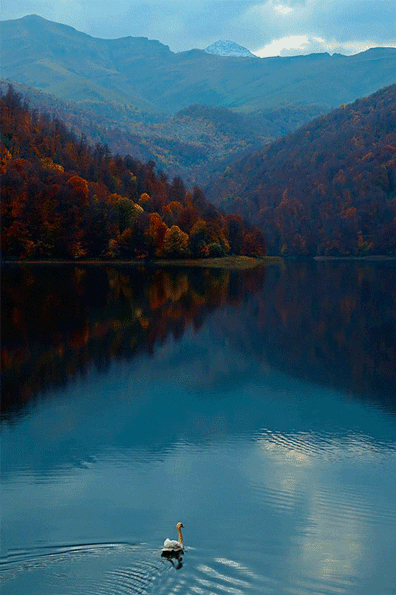 These Impressive Time Lapses Are Made From Just One Still Photo