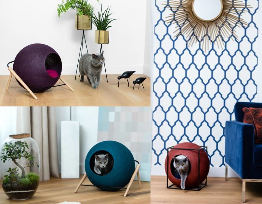 This Fall, Meyou Lets The Color In!