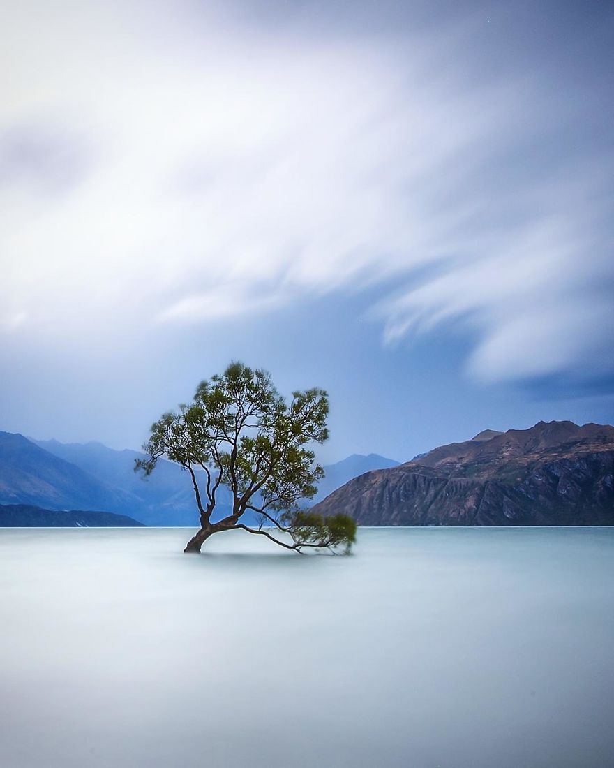 Stormy Days At The Wanaka Tree