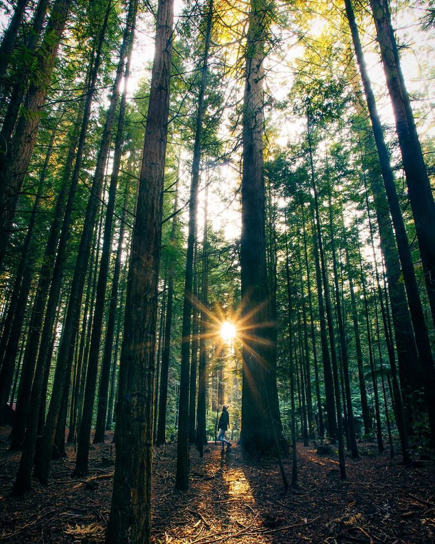 Stay Close To Nature, It Will Never Fail You