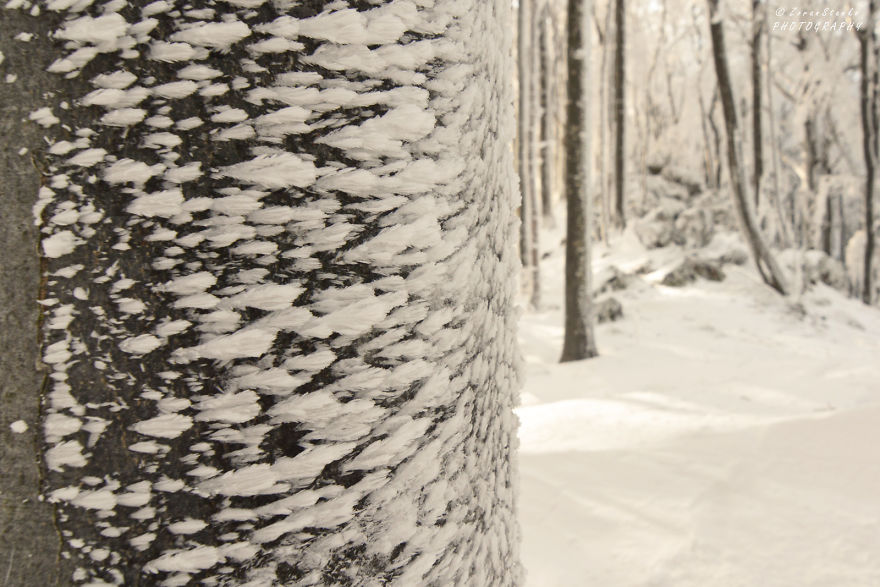 I Went Hiking In The Mountains Of Northern Croatia After Heavy Snowfall